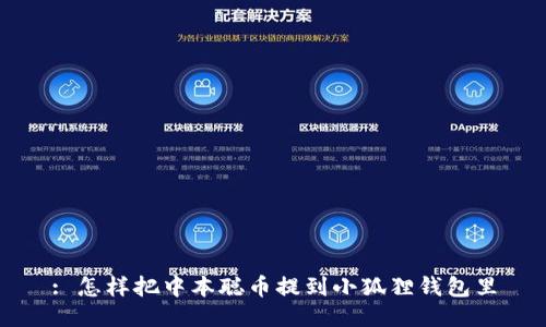 : 怎样把中本聪币提到小狐狸钱包里