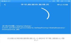 全面解析谷歌钱包虚拟币