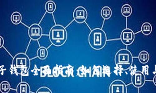 虚拟币电子钱包全面指南:如何选择、使用与安全保护