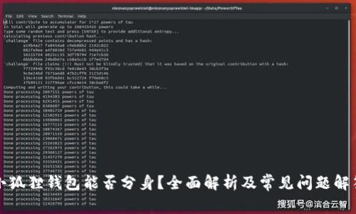 小狐狸钱包能否分身?全面解析及常见问题解答