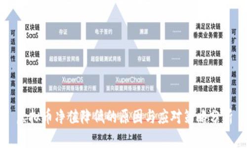 虚拟币净值降低的原因与应对策略分析
