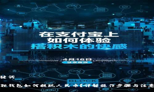 与关键词
小狐狸钱包如何提现人民币?详解操作步骤与注意事项