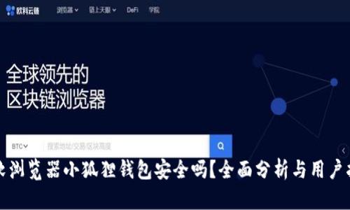 微软浏览器小狐狸钱包安全吗?全面分析与用户指南
