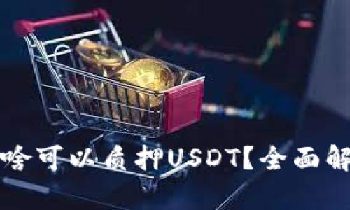 小狐狸钱包为啥可以质押USDT?全面解析及优势分析