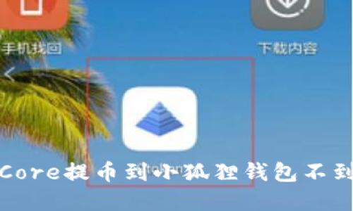 如何解决Core提币到小狐狸钱包不到账的问题