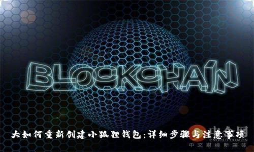 大如何重新创建小狐狸钱包:详细步骤与注意事项