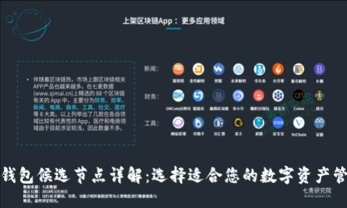 小狐狸钱包候选节点详解:选择适合您的数字资产管理方案