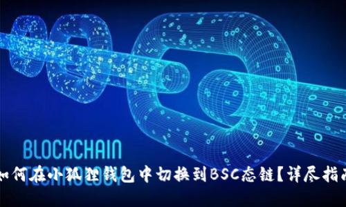 如何在小狐狸钱包中切换到BSC态链?详尽指南