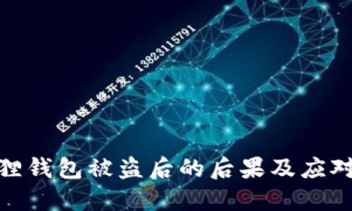 小狐狸钱包被盗后的后果及应对措施