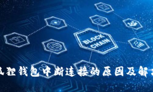 : 小狐狸钱包中断连接的原因及解决方法