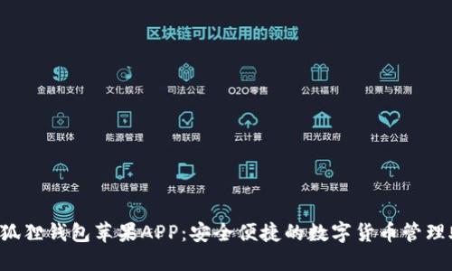 小狐狸钱包苹果APP:安全便捷的数字货币管理助手