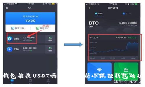 : 小狐狸钱包能收USDT吗?全面解析小狐狸钱包的功能与使用