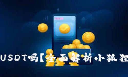 : 小狐狸钱包能收USDT吗?全面解析小狐狸钱包的功能与使用