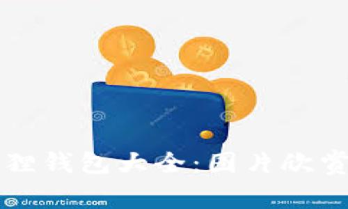 可爱的小狐狸钱包大全：图片欣赏与选购指南