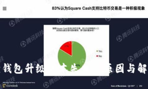 小狐狸钱包升级版本失败的原因与解决方案