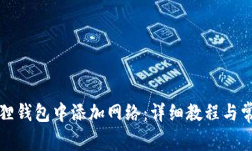 如何在小狐狸钱包中添加网络:详细教程与常见问题解答