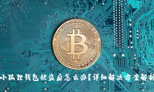 小狐狸钱包被盗后怎么办?详细解决方案解析