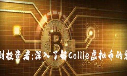 从初学者到投资者：深入了解Collie虚拟币的魅力与潜力