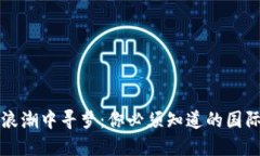 在数字浪潮中寻梦：你必