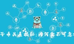 虚拟币的母币与子币关系