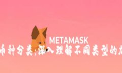 虚拟币币种分类：深入理