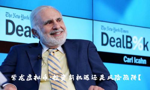 紫龙虚拟币：投资新机遇还是风险陷阱？