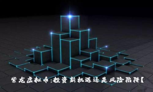 紫龙虚拟币：投资新机遇还是风险陷阱？