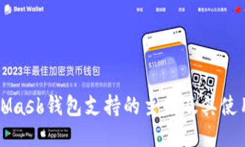 MetaMask钱包支持的主网及其使用指南