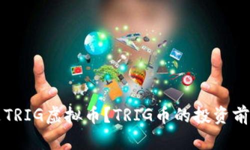 什么是TRIG虚拟币？TRIG币的投资前景分析