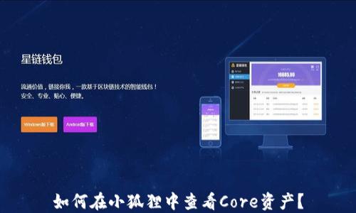 
如何在小狐狸中查看Core资产？