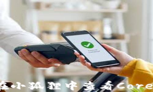 
如何在小狐狸中查看Core资产？